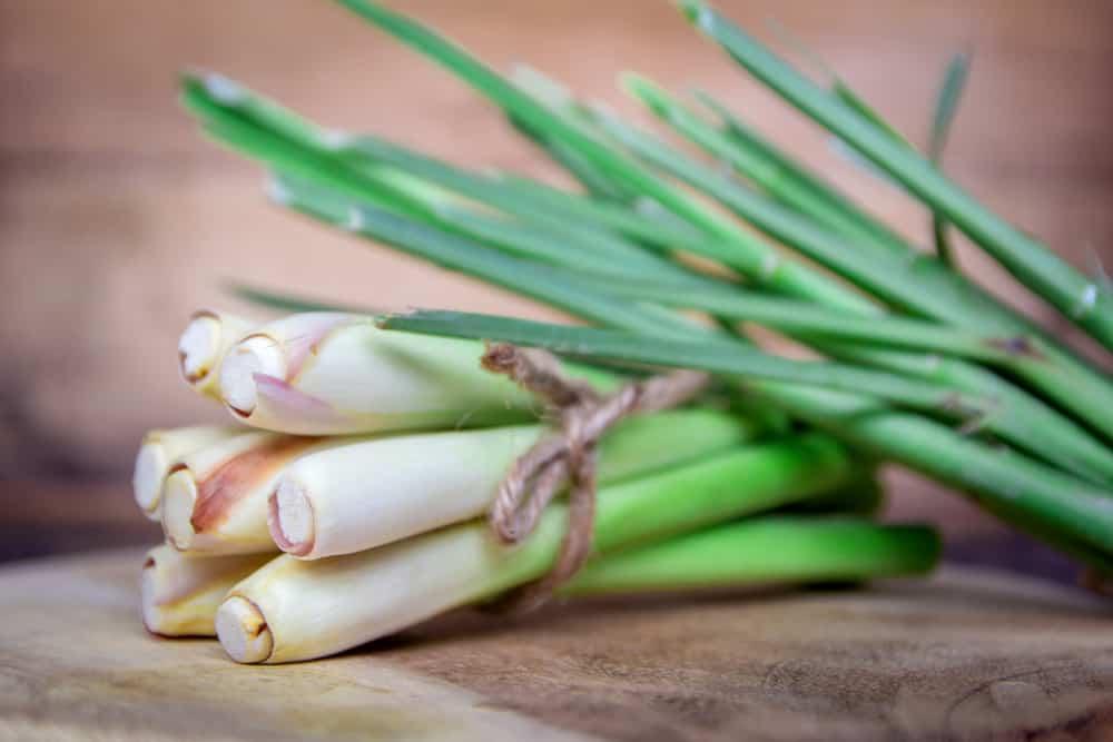 lemongrass-benefits