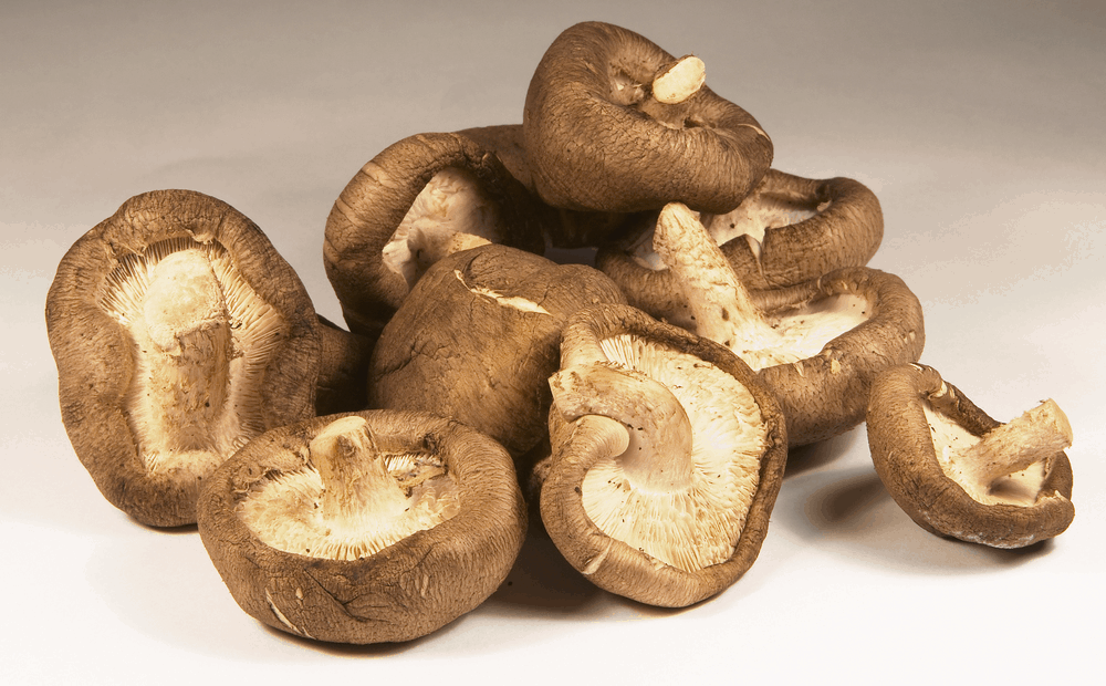 benefits-of-shitake