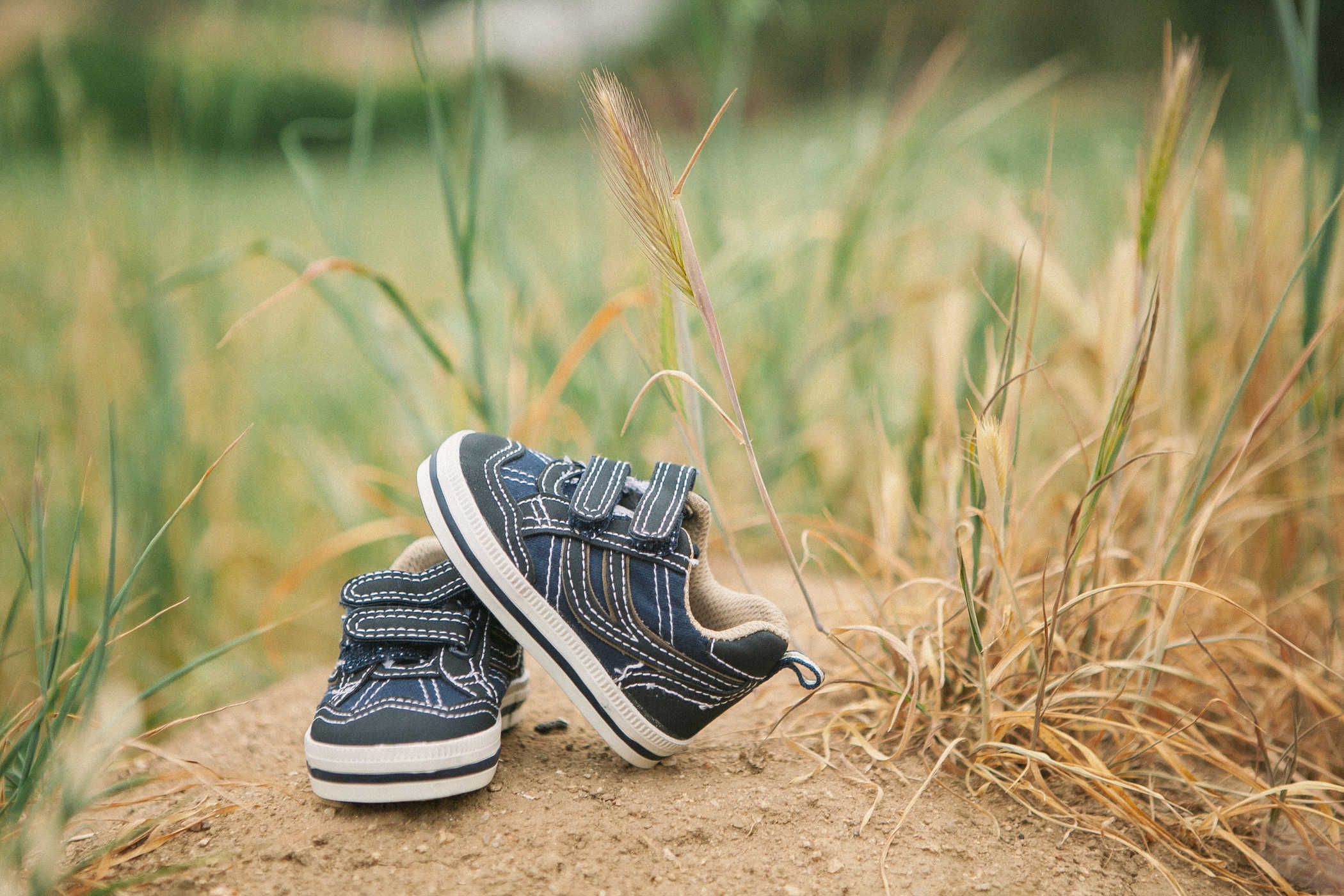 19-%e1%80%95%e1%80%90%e1%80%b9%e1%80%9e%e1%80%ac%e1%80%b8%e1%80%80%e1%80%b1%e1%80%9c%e1%80%b8