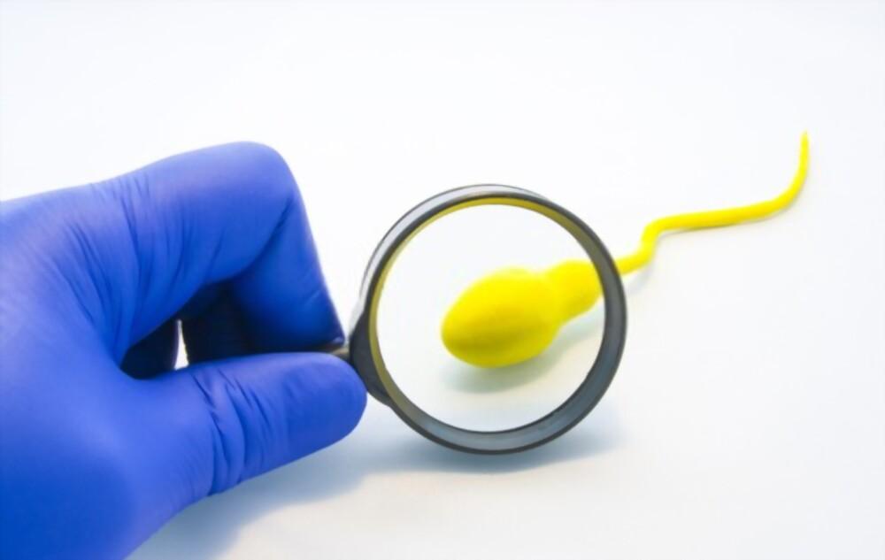 what-does-semen-taste-like