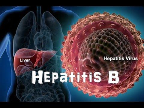 hepatitis-b-explained