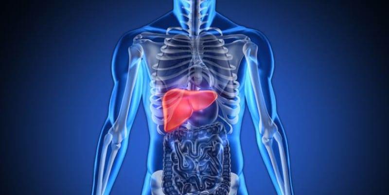 Liver Cancer (áĄáááşá¸áááşááŹ)