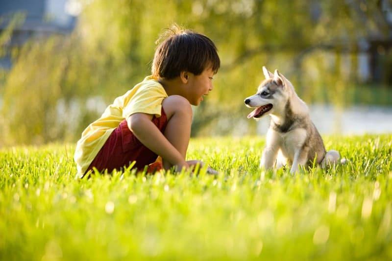 Rabies (áá˝áąá¸áá°á¸ááźááşááąáŹááŤ)