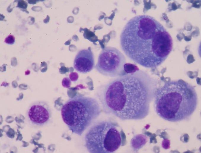 %e1%80%9b%e1%80%84%e1%80%ba%e1%80%9e%e1%80%ac%e1%80%b8%e1%80%80%e1%80%84%e1%80%ba%e1%80%86%e1%80%ac%e1%80%a1%e1%80%86%e1%80%84%e1%80%b7%e1%80%ba%e1%80%95%e1%80%b1%e1%80%ab%e1%80%ba%e1%80%99%e1%80%b0