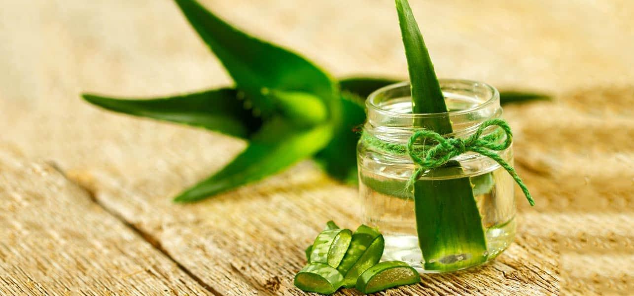 aloe-vera-for-acne-scar