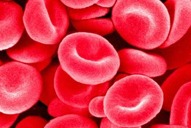 %e1%80%80%e1%80%9c%e1%80%b1%e1%80%b8%e1%80%99%e1%80%bb%e1%80%ac%e1%80%b8%e1%80%9e%e1%80%b6%e1%80%93%e1%80%ac%e1%80%90%e1%80%ba%e1%80%a1%e1%80%ac%e1%80%b8%e1%80%94%e1%80%8a%e1%80%ba%e1%80%b8%e1%80%b1