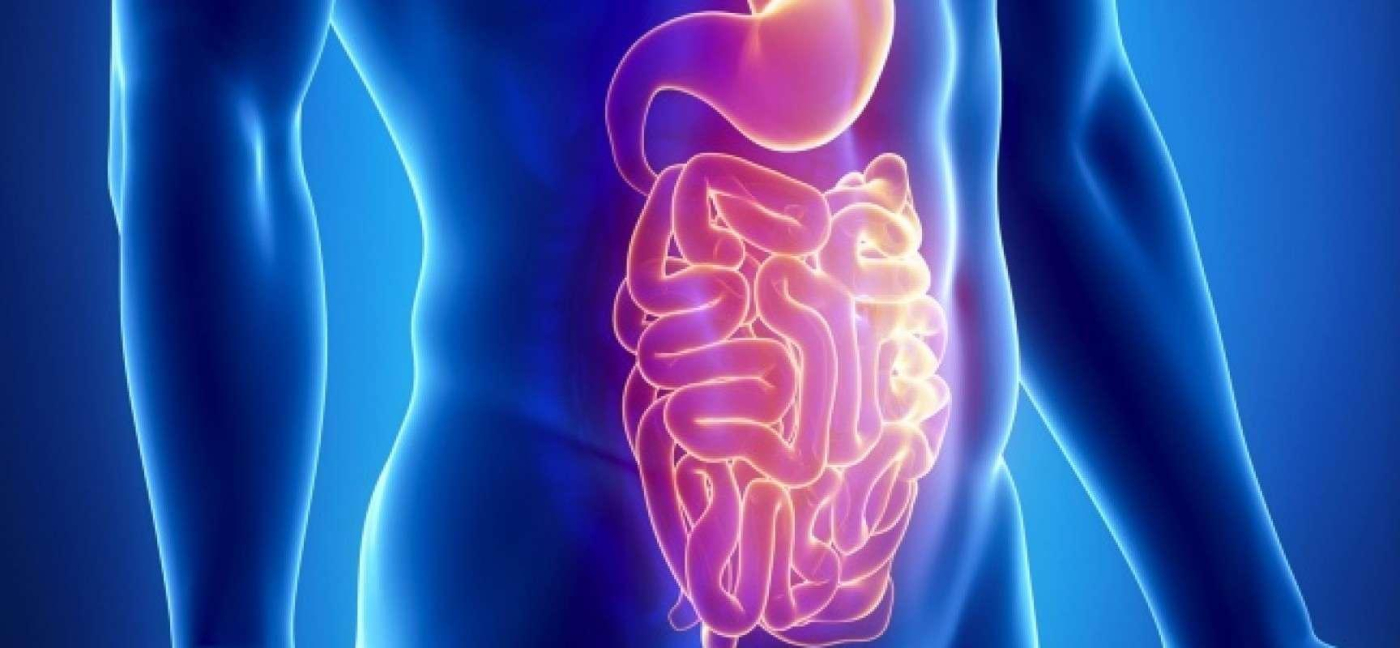 Gastroenteritis (áĄá
áŹáĄáááşáĄá°áááşá¸ááźáąáŹááşá¸ ááąáŹááşáááşá¸ááźááşá¸)