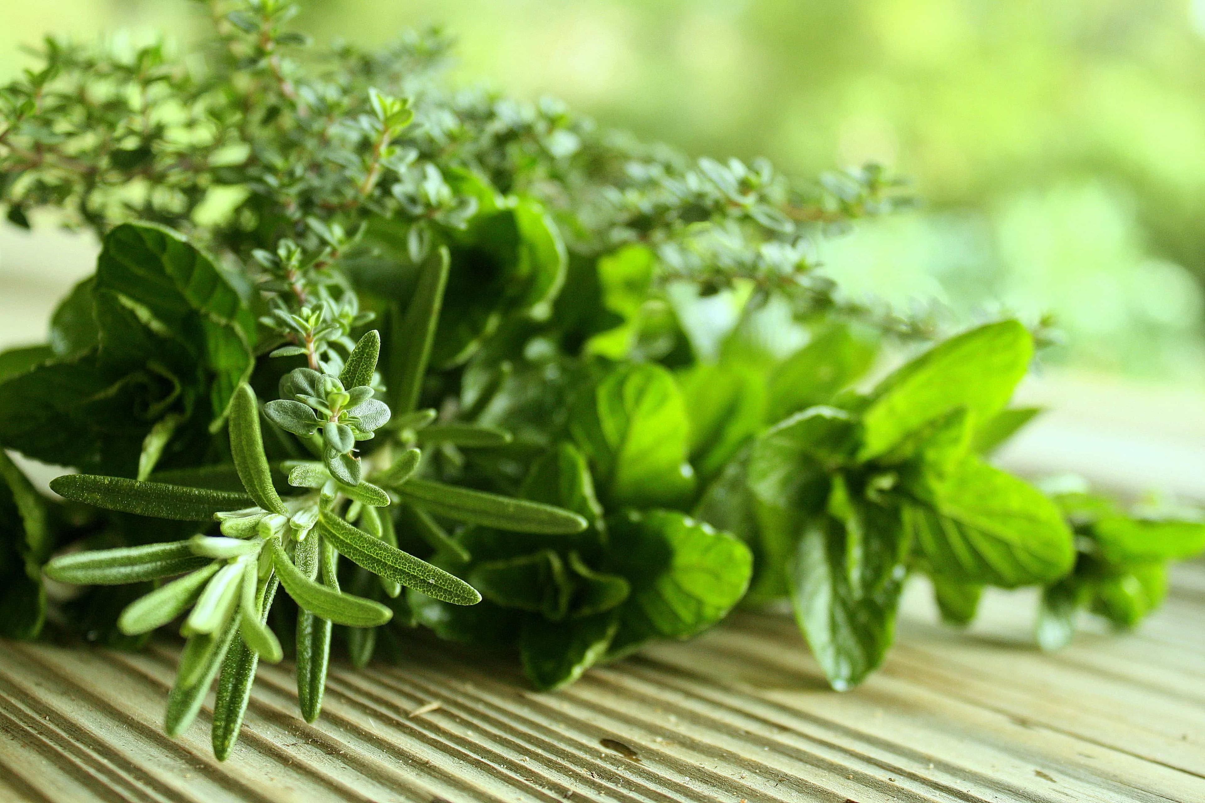 using-plants-in-cancer-rx-%e1%80%80%e1%80%84%e1%80%ba%e1%80%86%e1%80%ac-%e1%80%86%e1%80%b1%e1%80%b8%e1%80%96%e1%80%80%e1%80%ba%e1%80%9d%e1%80%84%e1%80%ba-%e1%80%95%e1%80%9b%e1%80%86%e1%80%b1%e1%80%b8