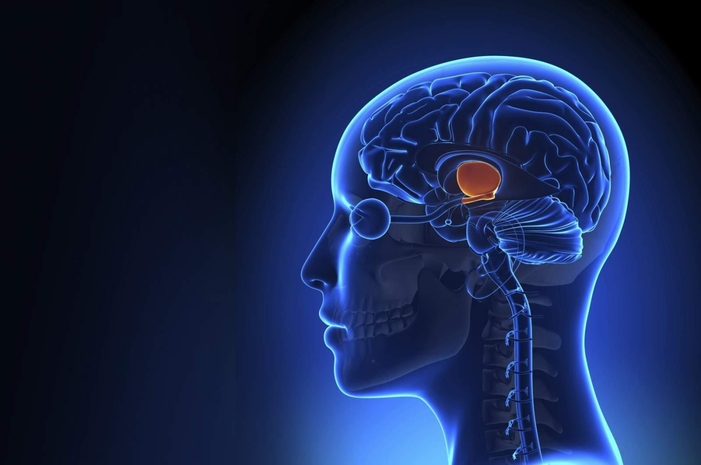 Hemiplegia (ááášááŤáááŻááşáá
áşááźááşá¸áĄáŹá¸áááşá¸ááąáŹááŤ)