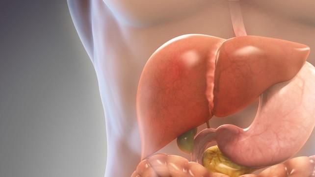 Chronic Hepatitis (နာတာရှည် အသည်းရောင်ရောဂါ)