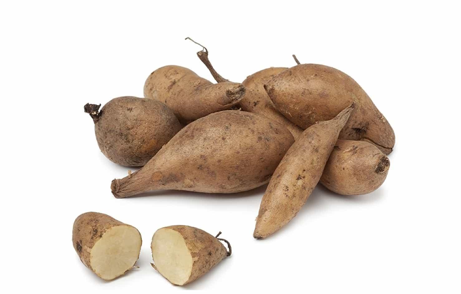 %e1%80%9a%e1%80%ac%e1%80%80%e1%80%bc%e1%80%94%e1%80%b9-yacon