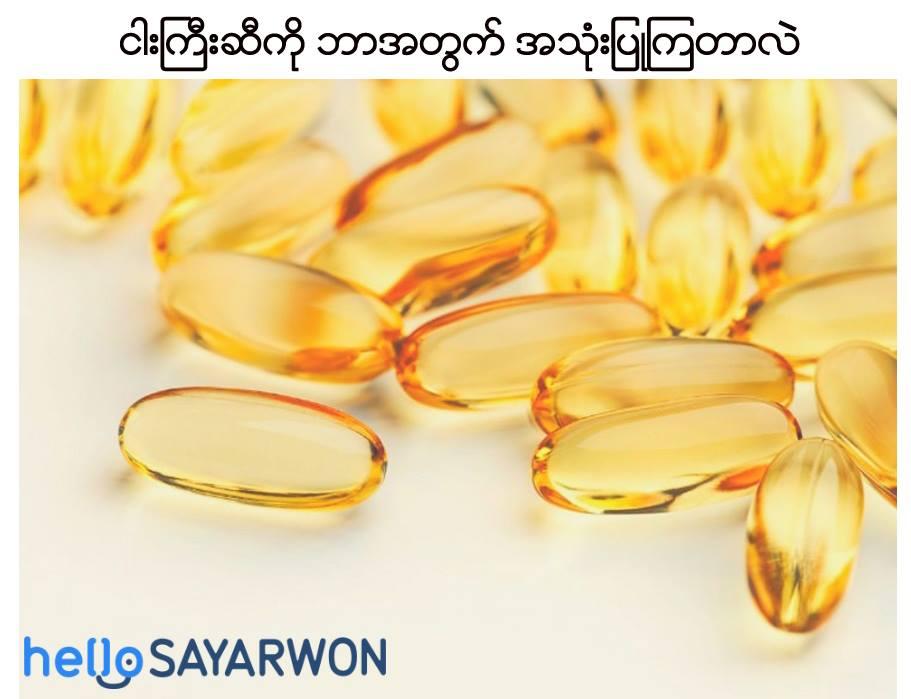 fish-oils-%e1%80%84%e1%80%ab%e1%80%b8%e1%81%be%e1%80%80%e1%80%ae%e1%80%b8%e1%80%86%e1%80%ae-2