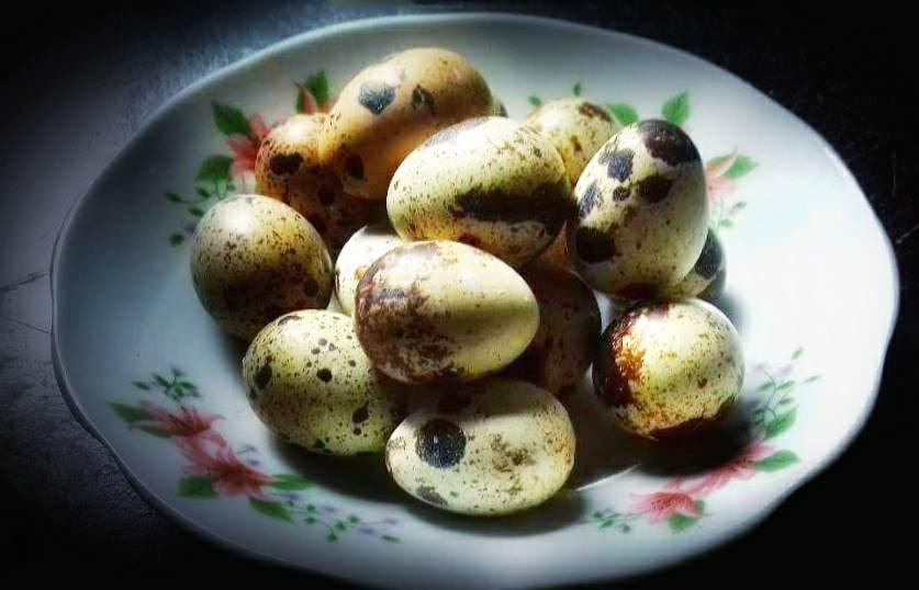 quail-egg-benefits
