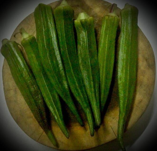 okra-%e1%80%9b%e1%80%b6%e1%80%af%e1%80%b8%e1%80%95%e1%80%90%e1%80%ae%e1%80%9e%e1%80%ae%e1%80%b8
