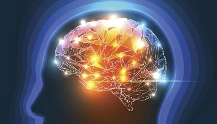 သင့်ဦးနှောက် ဘယ်လိုအလုပ်လုပ်သလဲ