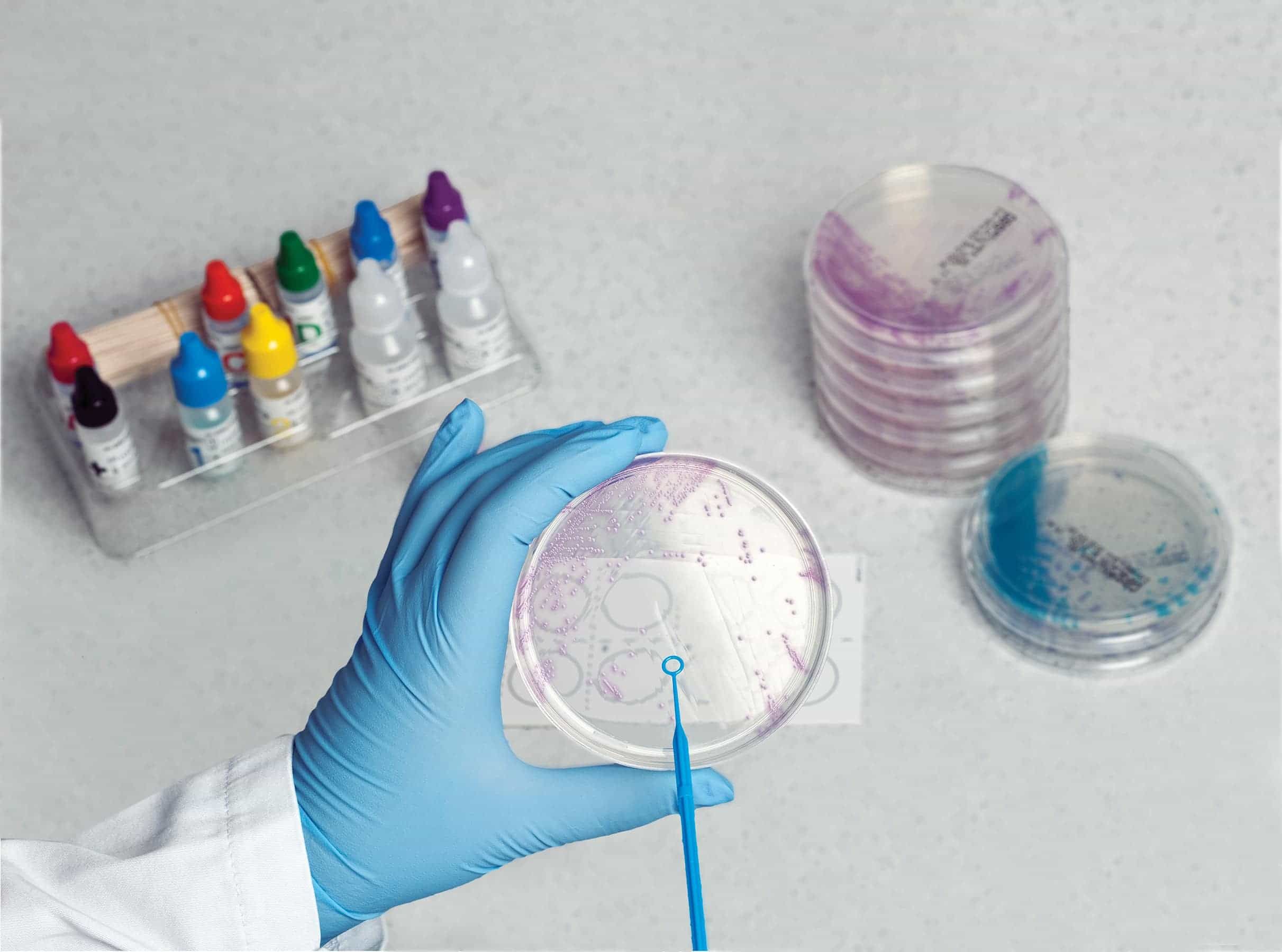 %e1%80%a1%e1%80%af%e1%80%95%e1%80%ba%e1%80%85%e1%80%af-%e1%80%98%e1%80%ae-%e1%80%85%e1%80%91%e1%80%9b%e1%80%95%e1%80%ba%e1%80%9b%e1%80%b1%e1%80%ac%e1%80%82%e1%80%ab%e1%80%95%e1%80%ad%e1%80%af%e1%80%b8