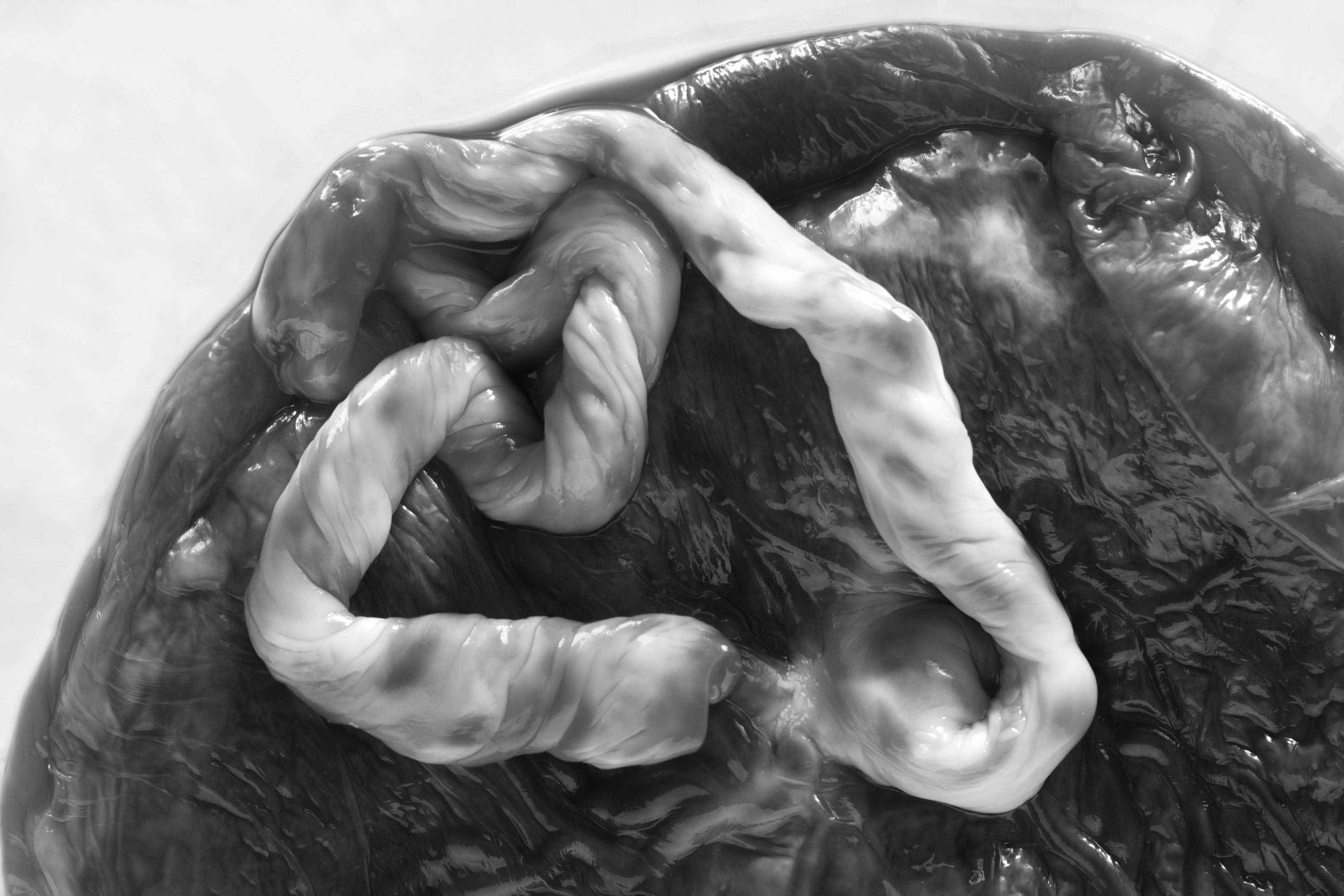 %e1%80%99%e1%80%ad%e1%80%81%e1%80%84%e1%80%b9%e1%81%8f%e1%80%a1%e1%80%81%e1%80%ba%e1%80%84%e1%80%b9%e1%80%b8%e1%80%a1%e1%80%ac%e1%80%b8-%e1%80%85%e1%80%ac%e1%80%b8%e1%80%9e%e1%80%b6%e1%80%af%e1%80%b8