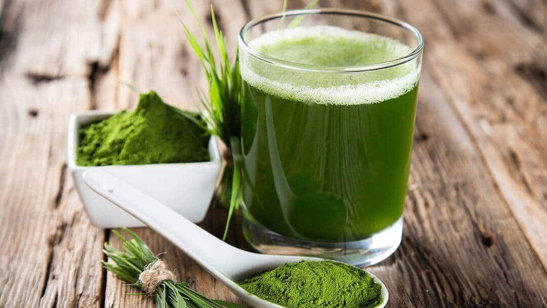 Spirulina Algae (á
áááşá¸ááźáŹááąáážá)