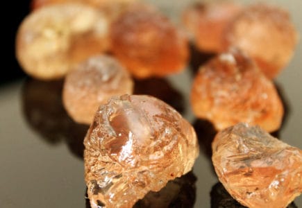 tragacanth-gum-herb-%e1%80%b1%e1%80%86%e1%80%b8%e1%80%80%e1%80%af%e1%80%9c%e1%80%ac%e1%80%b8%e1%80%99