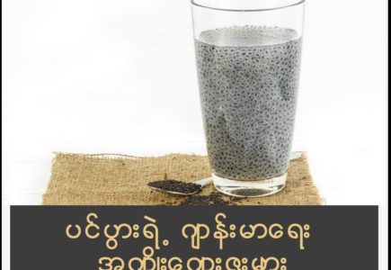 basil-seed-%e1%80%95%e1%80%84%e1%80%b9%e1%80%95%e1%80%bc%e1%80%ac%e1%80%b8