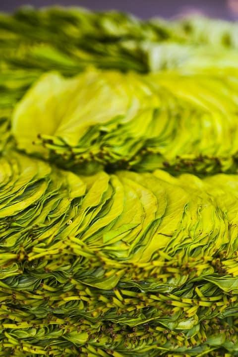 %e1%80%80%e1%80%bd%e1%80%99%e1%80%ba%e1%80%b8%e1%80%85%e1%80%ac%e1%80%b8%e1%80%81%e1%80%bc%e1%80%84%e1%80%ba%e1%80%b8%e1%80%9b%e1%80%b2%e1%80%b7%e1%80%86%e1%80%ad%e1%80%af%e1%80%b8%e1%80%80%e1%80%bb