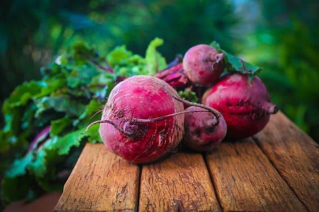 အစာခြေစနစ်အတွက် အမျှင်ဓါတ်က ဘယ်လိုအကျိုးပြုတာလဲ