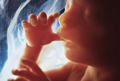 %e1%80%80%e1%80%b1%e1%80%9c%e1%80%b8%e1%80%b1%e1%80%90%e1%80%bc%e1%80%80-%e1%80%99%e1%80%ad%e1%80%81%e1%80%84%e1%80%b9%e1%80%9b%e1%80%b2%e1%80%b7-%e1%80%80%e1%80%ad%e1%80%af%e1%80%9a%e1%80%b9%e1%80%81