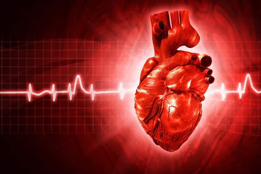 Ischemic Heart Disease (နှလုံးသွေးကြောကျဉ်းရောဂါ)