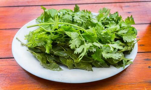 Corinda Leaf (နံနံပင်)