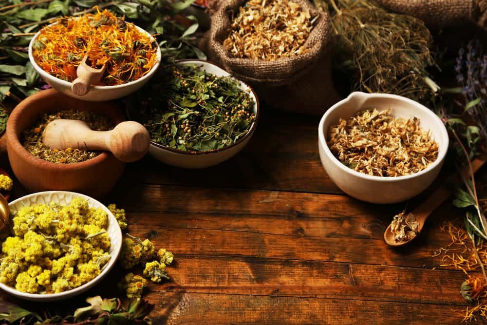 %e1%80%a1%e1%80%9e%e1%80%8a%e1%80%ba%e1%80%b8%e1%80%80%e1%80%84%e1%80%ba%e1%80%86%e1%80%ac%e1%80%a1%e1%80%90%e1%80%bd%e1%80%80%e1%80%ba-%e1%80%86%e1%80%b1%e1%80%b8%e1%80%96%e1%80%80%e1%80%ba%e1%80%9d