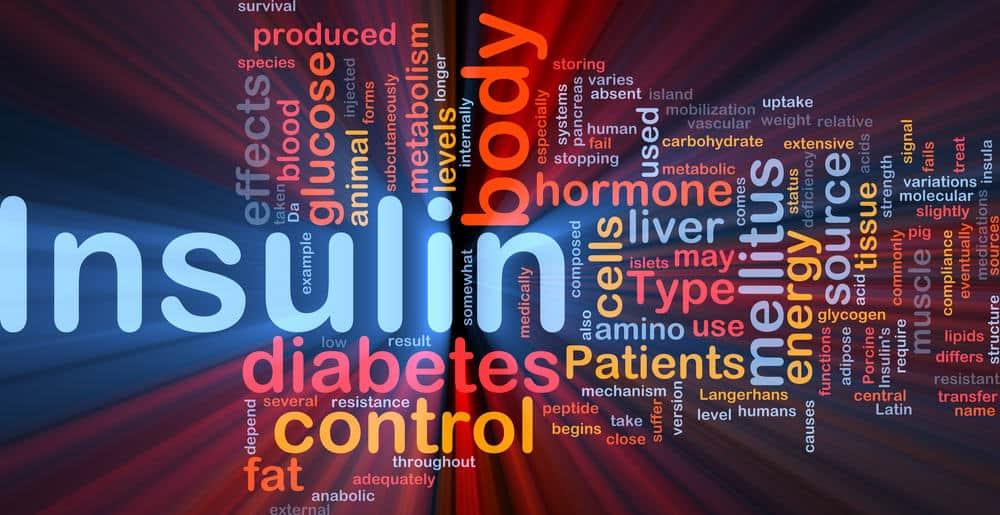 Insulin Resistance (အင်ဆူလင်ဟော်မုန်းခုခံအားတက်လာခြင်း(အင်ဆူလင် မတိုးခြင်း) ဆိုသည်မှာ အဘယ်နည်း)