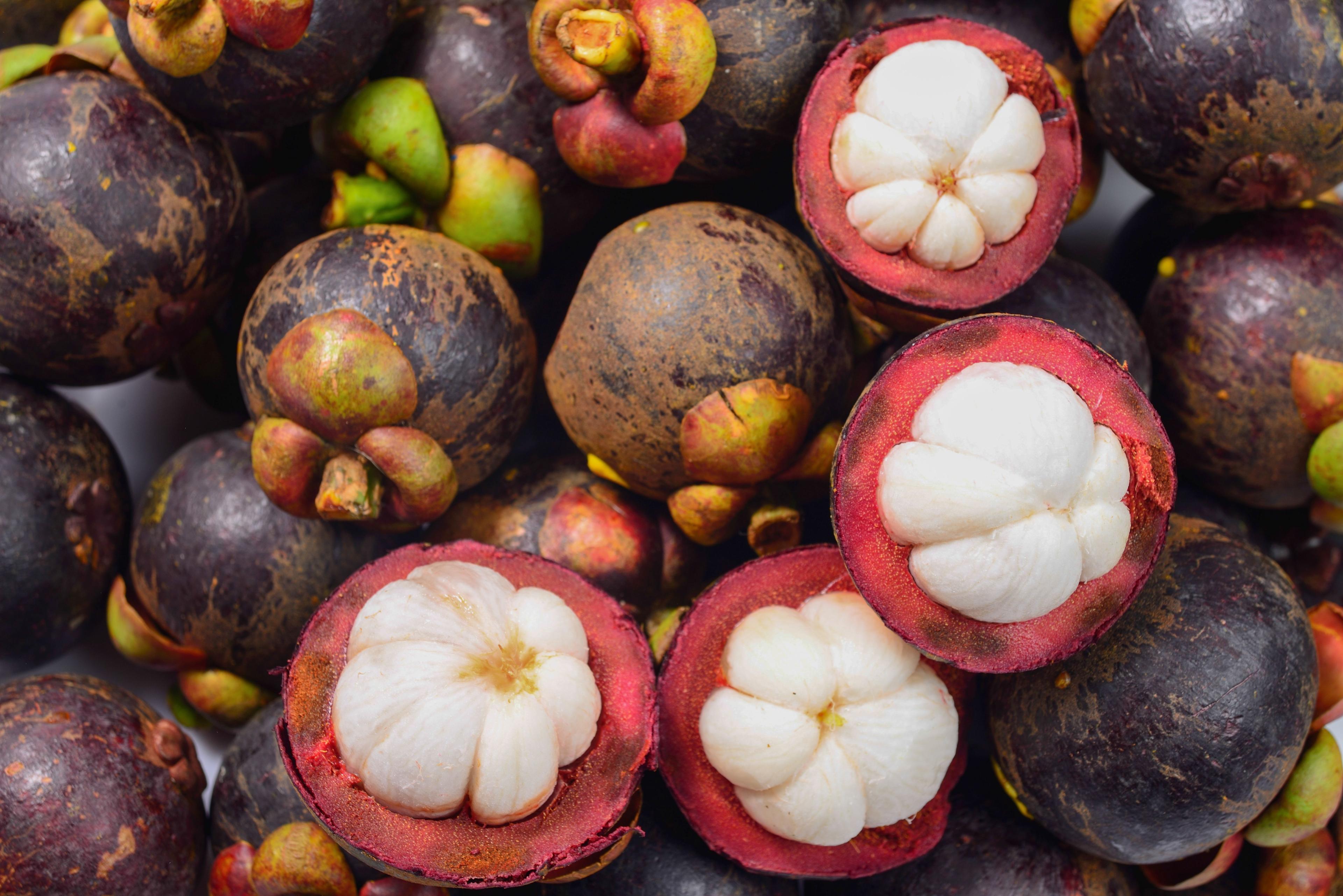 mangosteen%e1%80%99%e1%80%84%e1%80%b9%e1%80%b8%e1%80%82%e1%80%bc%e1%80%90%e1%80%b9