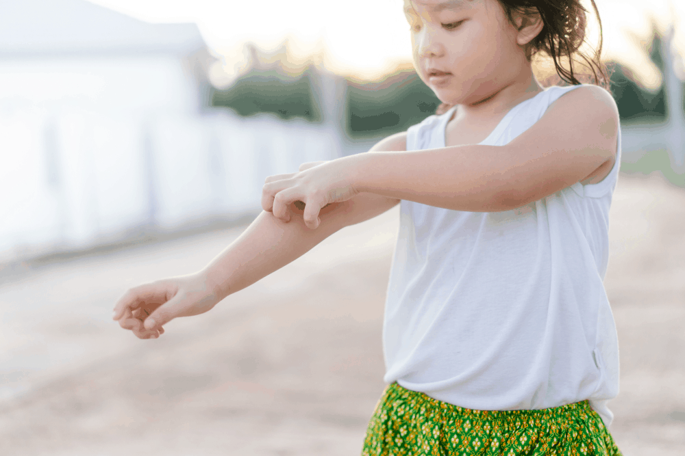 %e1%80%80%e1%80%b1%e1%80%9c%e1%80%b8%e1%80%90%e1%80%bc%e1%80%84%e1%80%b9-%e1%80%86%e1%80%af%e1%80%ad%e1%80%9b%e1%80%ae%e1%80%b1%e1%80%9b%e1%80%b8%e1%80%85%e1%80%85%e1%80%b9%e1%80%b1%e1%80%9b%e1%80%ac