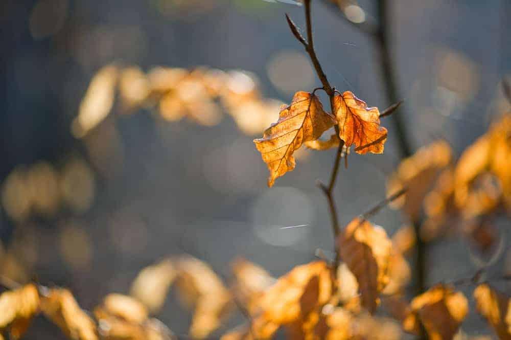 %e1%80%9b%e1%80%ac%e1%80%9e%e1%80%ae%e1%80%a5%e1%80%90%e1%80%af%e1%80%80-%e1%81%80%e1%80%80%e1%80%b9%e1%80%bb%e1%80%81%e1%80%b6%e1%80%b1%e1%80%90%e1%80%bc%e1%80%a1%e1%80%b1%e1%80%95%e1%81%9a%e1%80%99