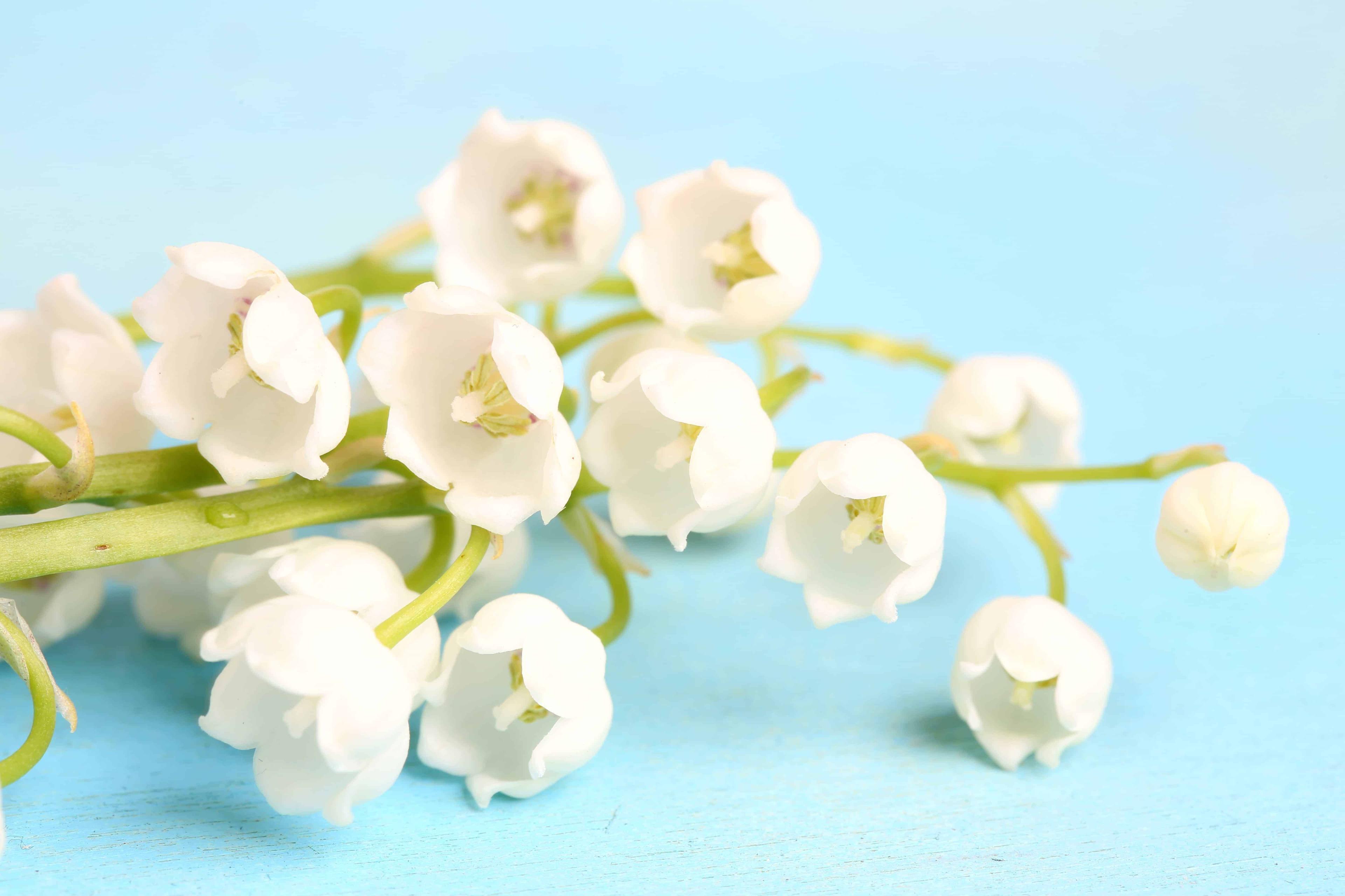 %e1%81%80%e1%80%80%e1%80%b9%e1%80%9b%e1%80%b0%e1%80%b8%e1%80%bb%e1%80%95%e1%80%94%e1%80%b9%e1%80%b1%e1%80%9b%e1%80%ac%e1%80%82%e1%80%ab