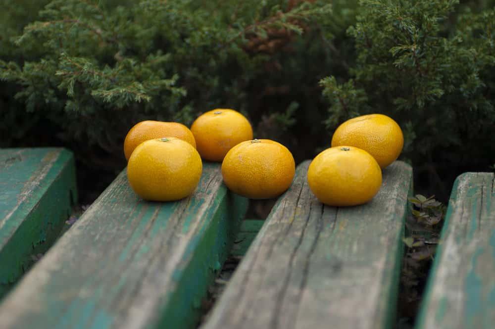 %e1%80%80%e1%80%9c%e1%80%b1%e1%80%b8%e1%80%84%e1%80%9a%e1%80%ba-%e1%80%a1%e1%80%b1%e1%80%ac%e1%80%ba%e1%80%82%e1%80%b2%e1%80%94%e1%80%85%e1%80%ba