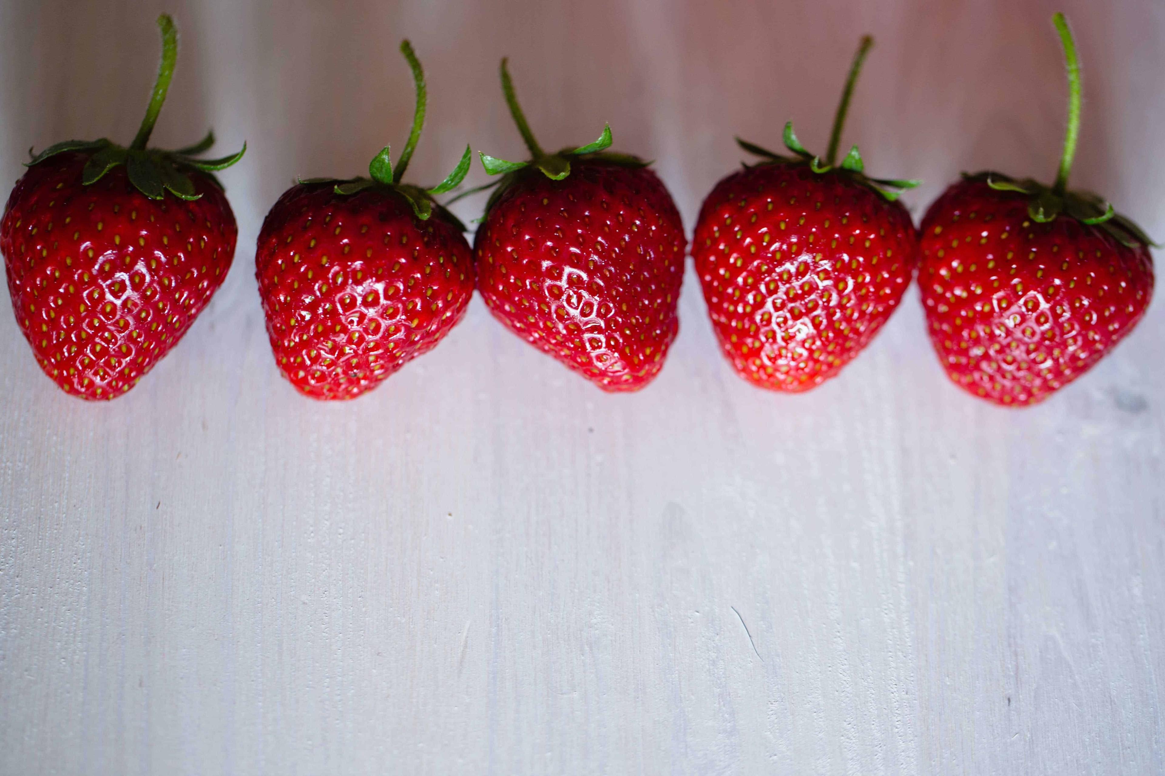 %e1%80%81%e1%80%bb%e1%80%b1%e1%80%ac%e1%80%b7%e1%80%99%e1%80%bd%e1%80%b1%e1%80%b7%e1%80%9c%e1%80%be%e1%80%95%e1%80%9e%e1%80%b1%e1%80%ac-%e1%80%a1%e1%80%9e%e1%80%ac%e1%80%b8%e1%80%a1%e1%80%9b%e1%80%b1