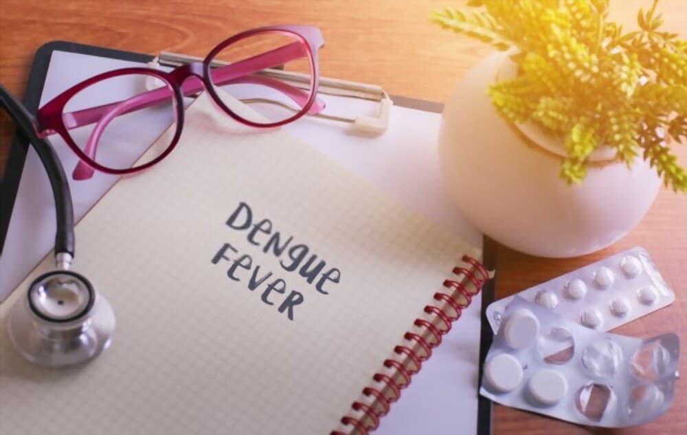about-dengue-fever