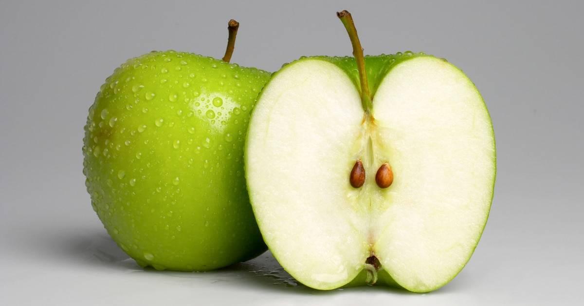 %e1%80%95%e1%80%94%e1%80%ba%e1%80%b8%e1%80%9e%e1%80%ae%e1%80%b8%e1%80%a1%e1%80%85%e1%80%b1%e1%80%b7%e1%80%99%e1%80%bb%e1%80%ac%e1%80%b8%e1%80%90%e1%80%bd%e1%80%84%e1%80%ba-%e1%80%86%e1%80%ad%e1%80%af