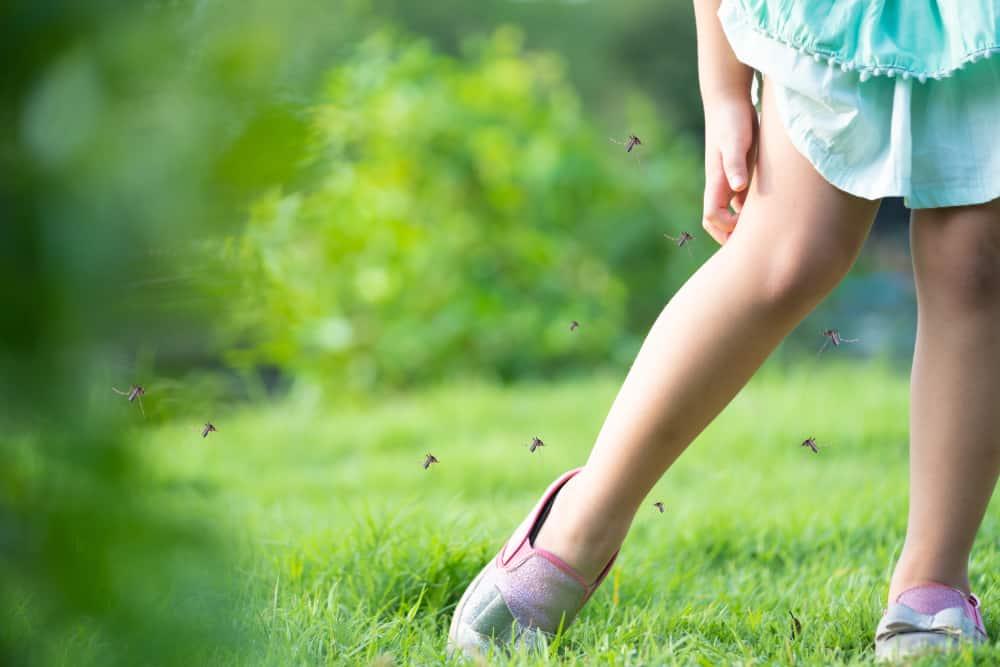 ဆင်ခြေထောက်ရောဂါမဖြစ်အောင် ဘယ်လိုကာကွယ်မလဲ