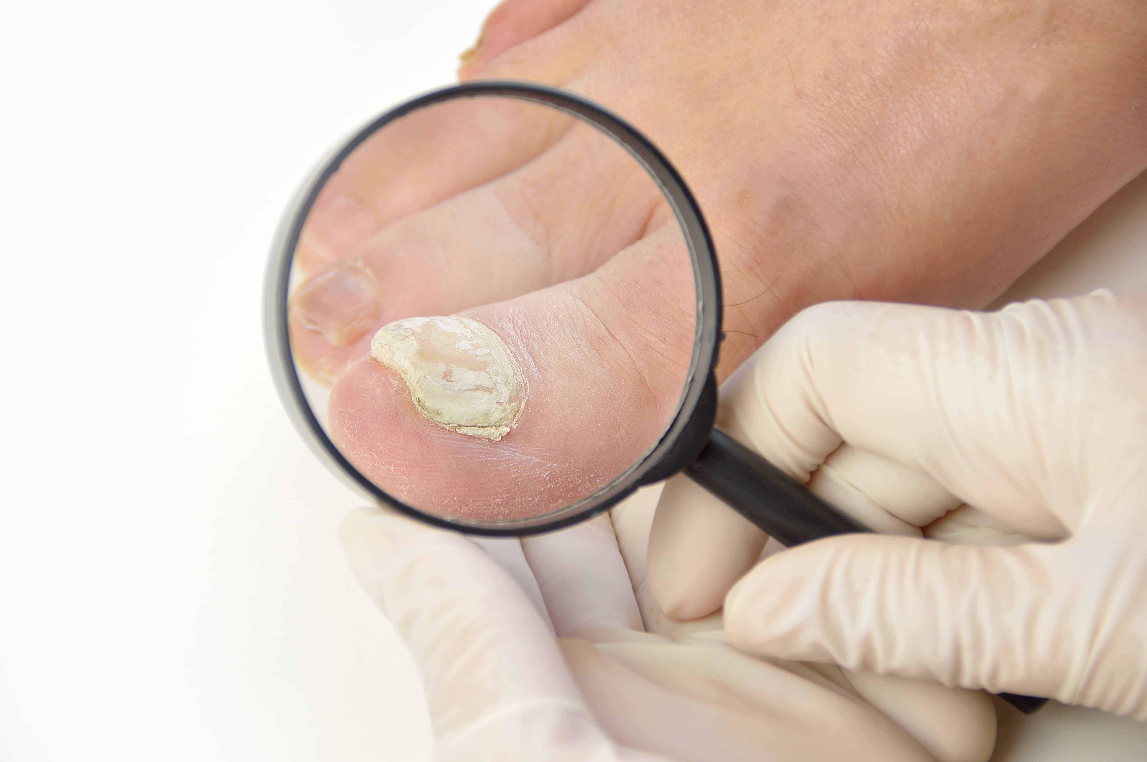 %e1%80%a1%e1%80%9b%e1%80%b1%e1%80%95%e1%80%bc%e1%80%ac%e1%80%b8%e1%80%99%e1%80%be%e1%80%ad%e1%80%af%e1%80%9b%e1%80%b1%e1%80%ac%e1%80%82%e1%80%ab