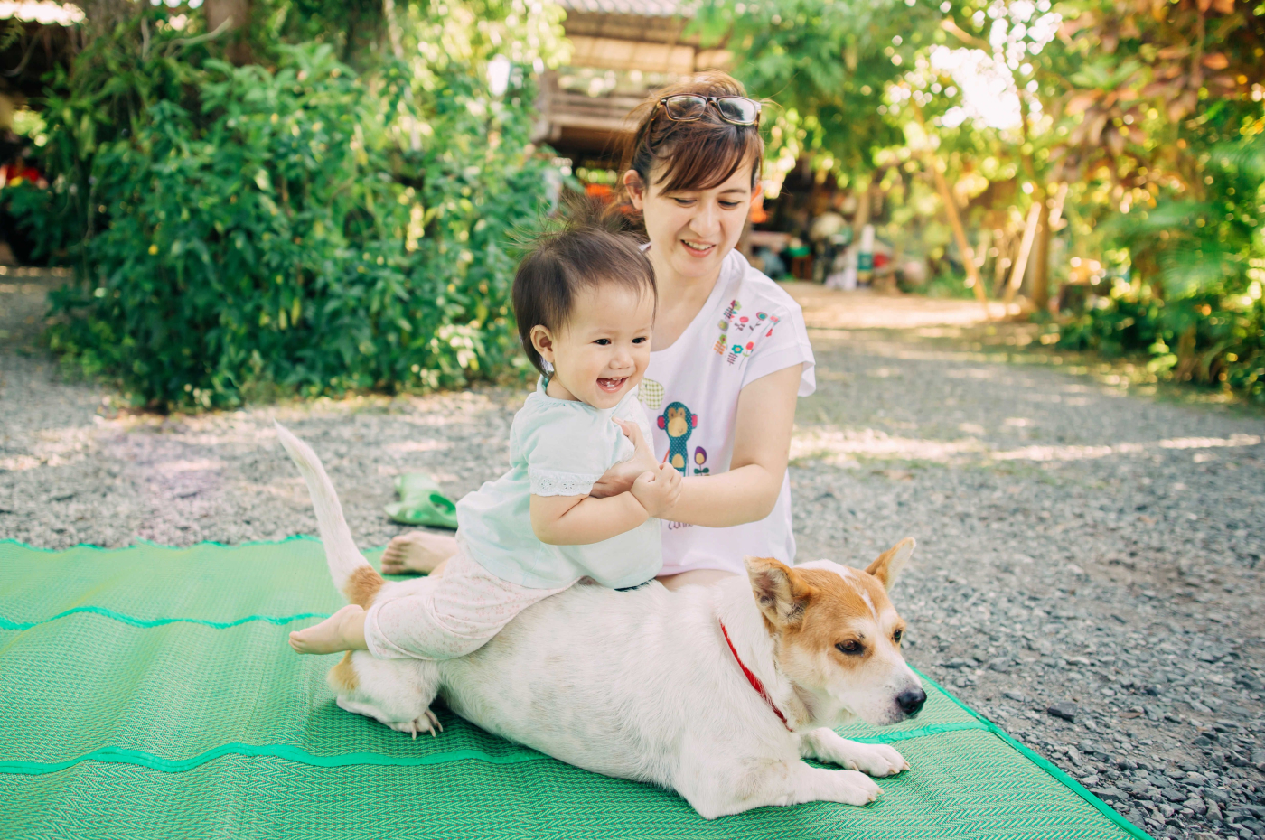 အိမ်မွေးတိရစ္ဆာန်အပေါ် မသင့်မလျော်ပြုမူတတ်တဲ့ ကလေးတွေကို ဘယ်လိုကိုင်တွယ်မလဲ