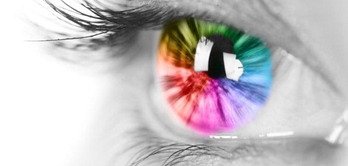 မျက်စိ၏ လုပ်ငန်းတာဝန်များ