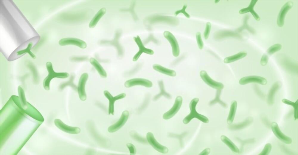 ဝမ်းပျက်ဝမ်းလျှောခြင်းအတွက် Probiotics