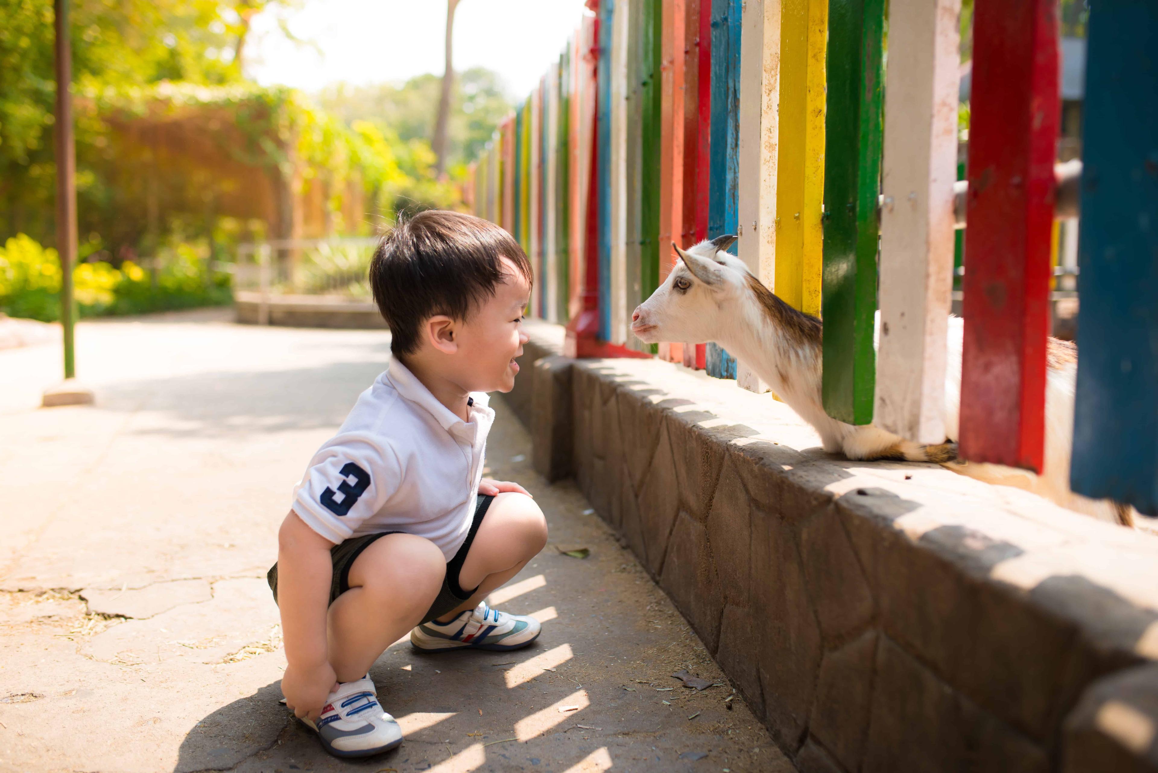 probiotics-for-children