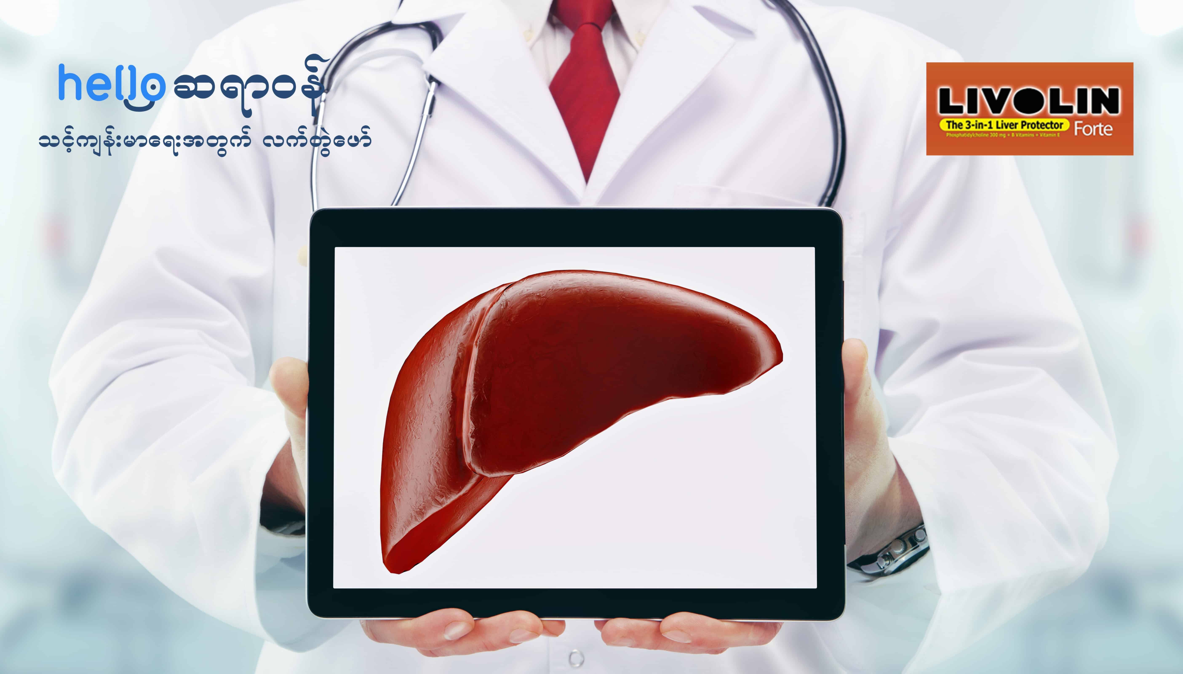 Fatty Liver (အသည်းအဆီဖုံးခြင်း)