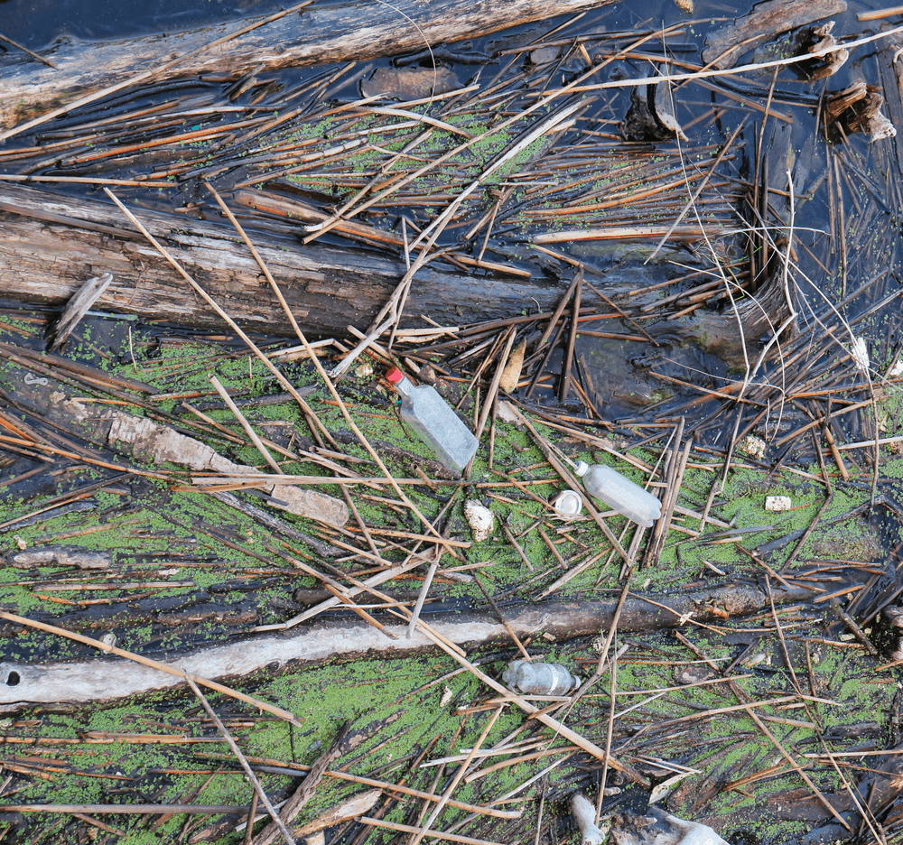 %e1%80%9b%e1%80%b1%e1%80%91%e1%80%af%e1%80%8a%e1%80%85%e1%80%ba%e1%80%8a%e1%80%99%e1%80%ba%e1%80%b8%e1%80%99%e1%80%be%e1%80%af%e1%80%94%e1%80%b2%e1%80%b7-%e1%80%80%e1%80%bb%e1%80%94%e1%80%ba%e1%80%b8