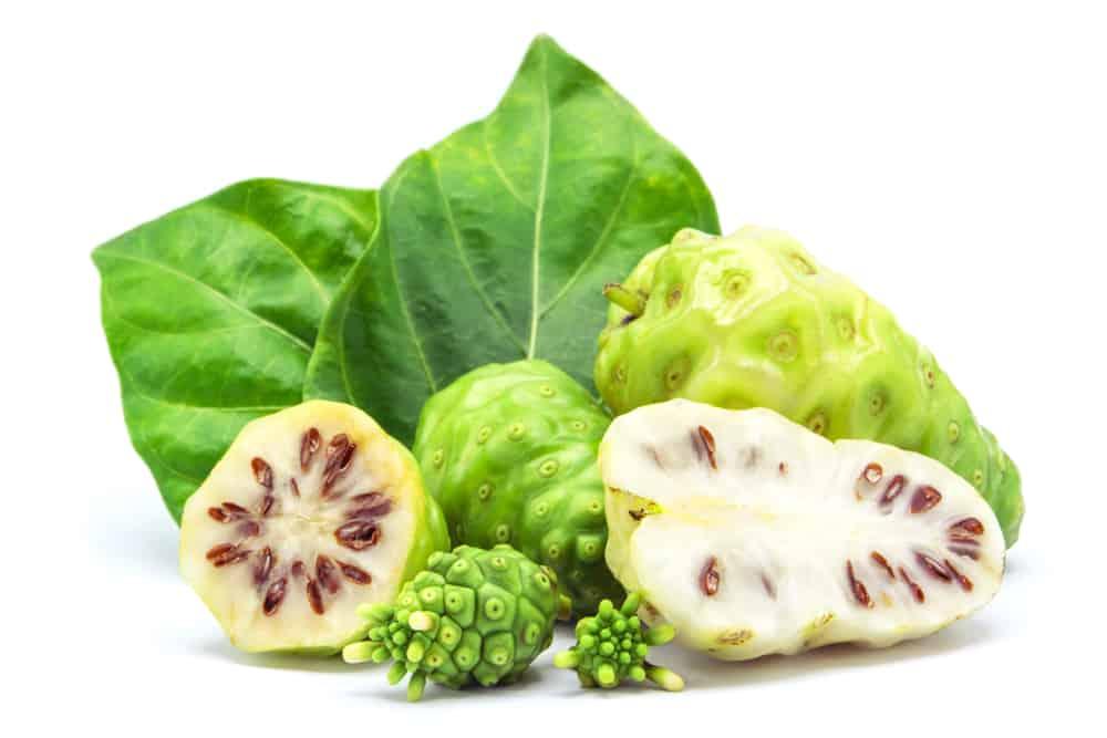 health-benefits-of-noni