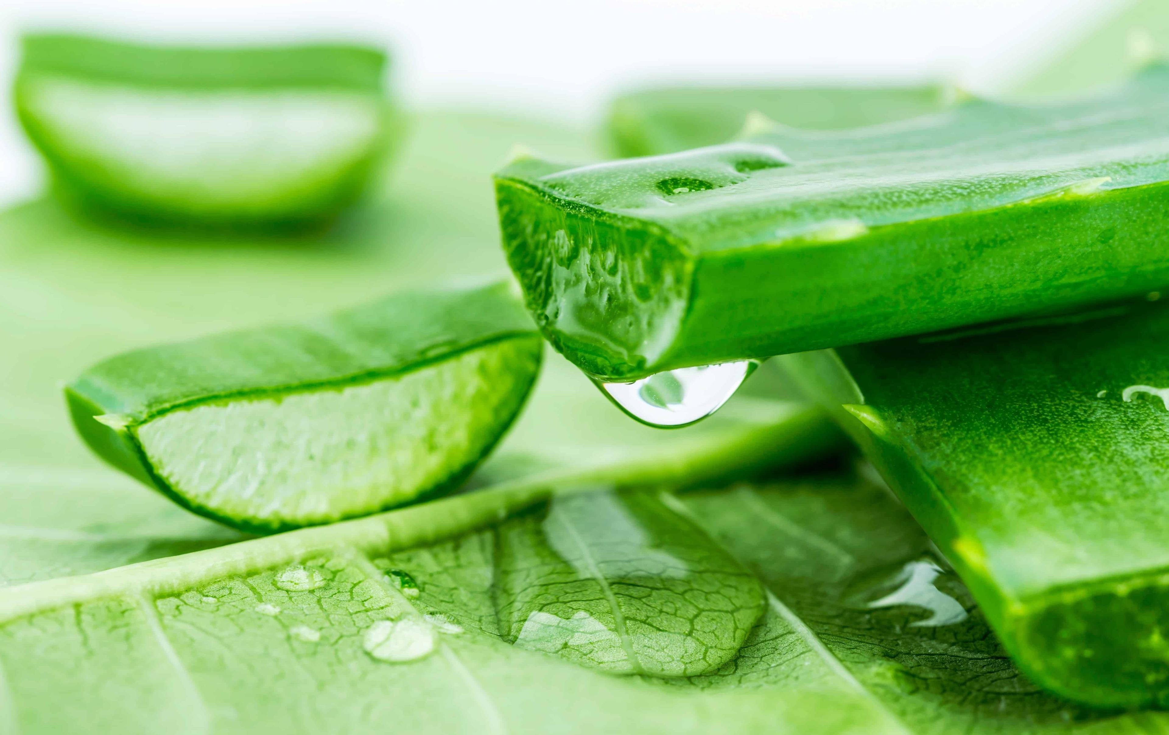 benefits-of-aloe-vera
