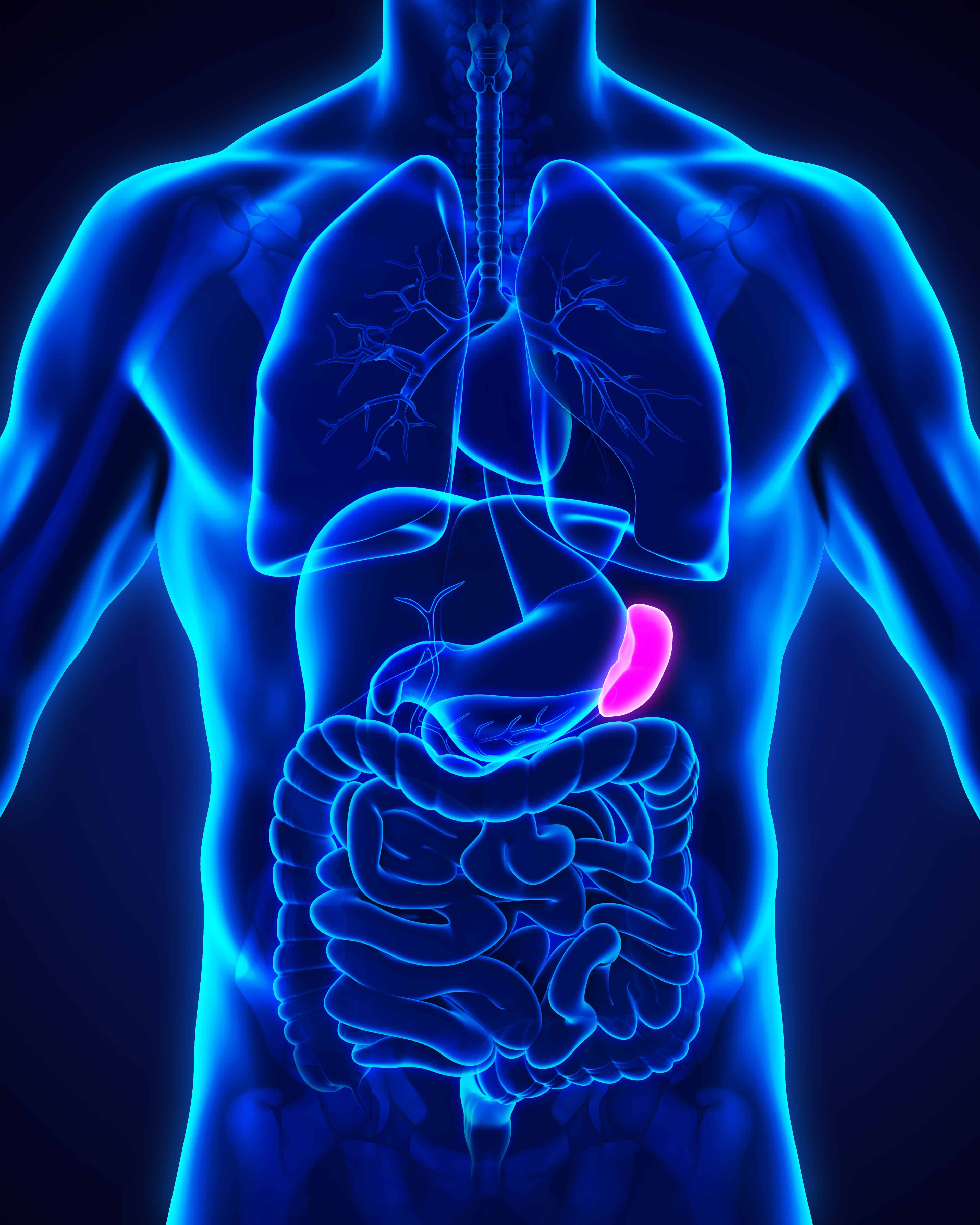 သင့်သရက်ရွက် မထိခိုက်စေအောင် ဒီလိုမျိုး ကာကွယ်လိုက်ပါ။